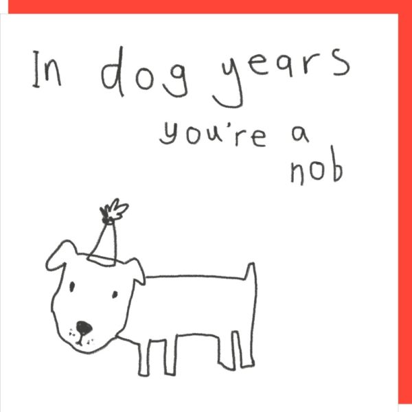 Dog Years birthday card. Caption: 'In dog years you're a nob.'