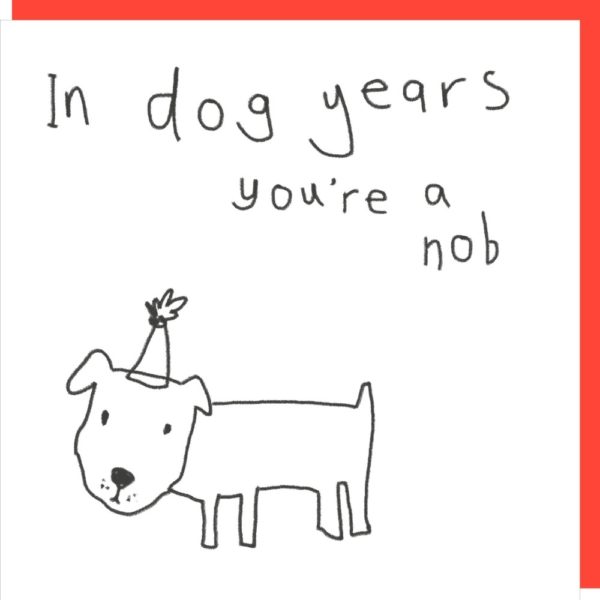 Dog Years birthday card. Caption: 'In dog years you're a nob.'
